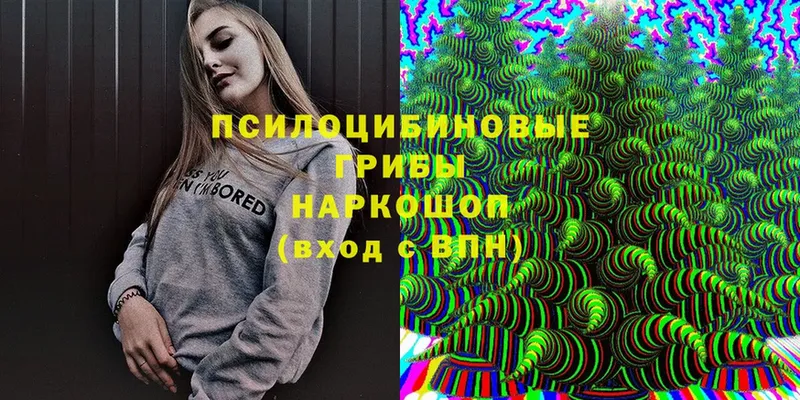 OMG сайт  Вологда  Галлюциногенные грибы Magic Shrooms  где можно купить наркотик 